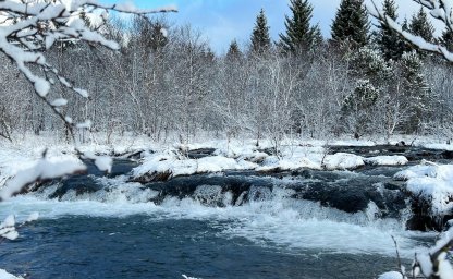 Бегство от свбоды