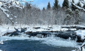 Бегство от свбоды
