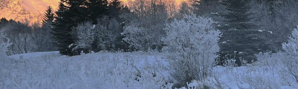 Почему люди седеют Почему люди седеют