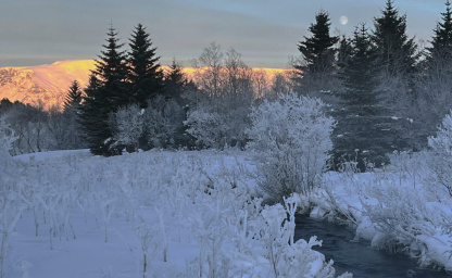 Почему люди седеют