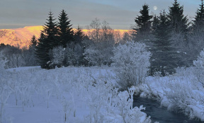 Почему люди седеют